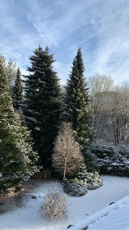 Pension Harzkieker Altenau  Bagian luar foto